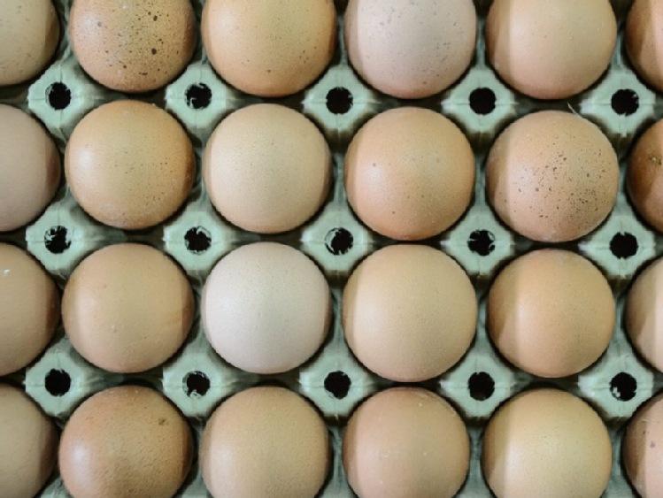 Ekologiczne jaja są bogate w kwasy omega-3